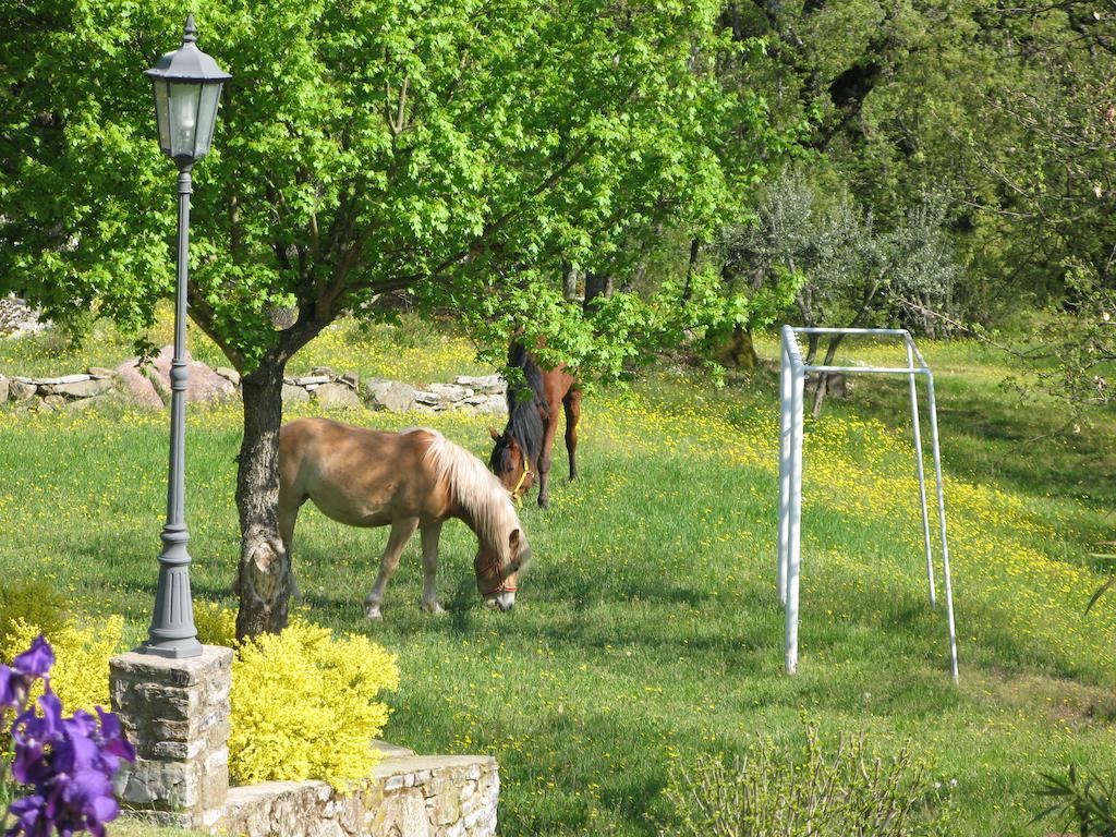 La Ghiandaia Casa Vacanza Lucolena in Chianti Buitenkant foto